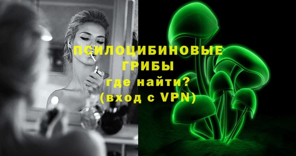 кокс Белокуриха
