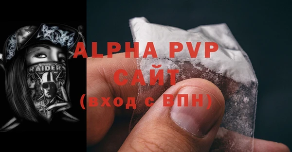 кокс Белокуриха