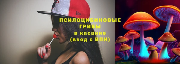 кокс Белокуриха