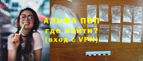 кокс Белокуриха