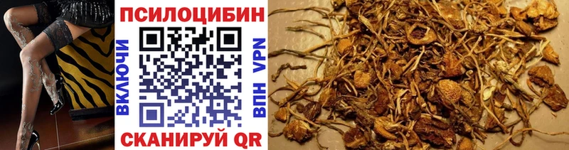 мега ССЫЛКА  Мглин  Псилоцибиновые грибы Psilocybe 